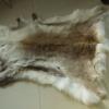 Leather Reindeer Rug Wholesale Leather Tannery Manufacturer
