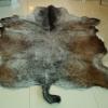 Leather Cow Rug Skins Tannery Leather Manufacturer Wholesale