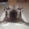 Leather Reindeer Rug Wholesale Leather Tannery Manufacturer