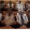 Tannery Sheepskins Rugs Manufacturer Leather Wholesale Skins