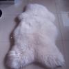 Sheepskins Rugs Tannery Leather Manufacturer Skins Wholesale
