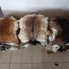 Leather Fallow Deer Rug Skins Tannery Manufacturer Wholesale